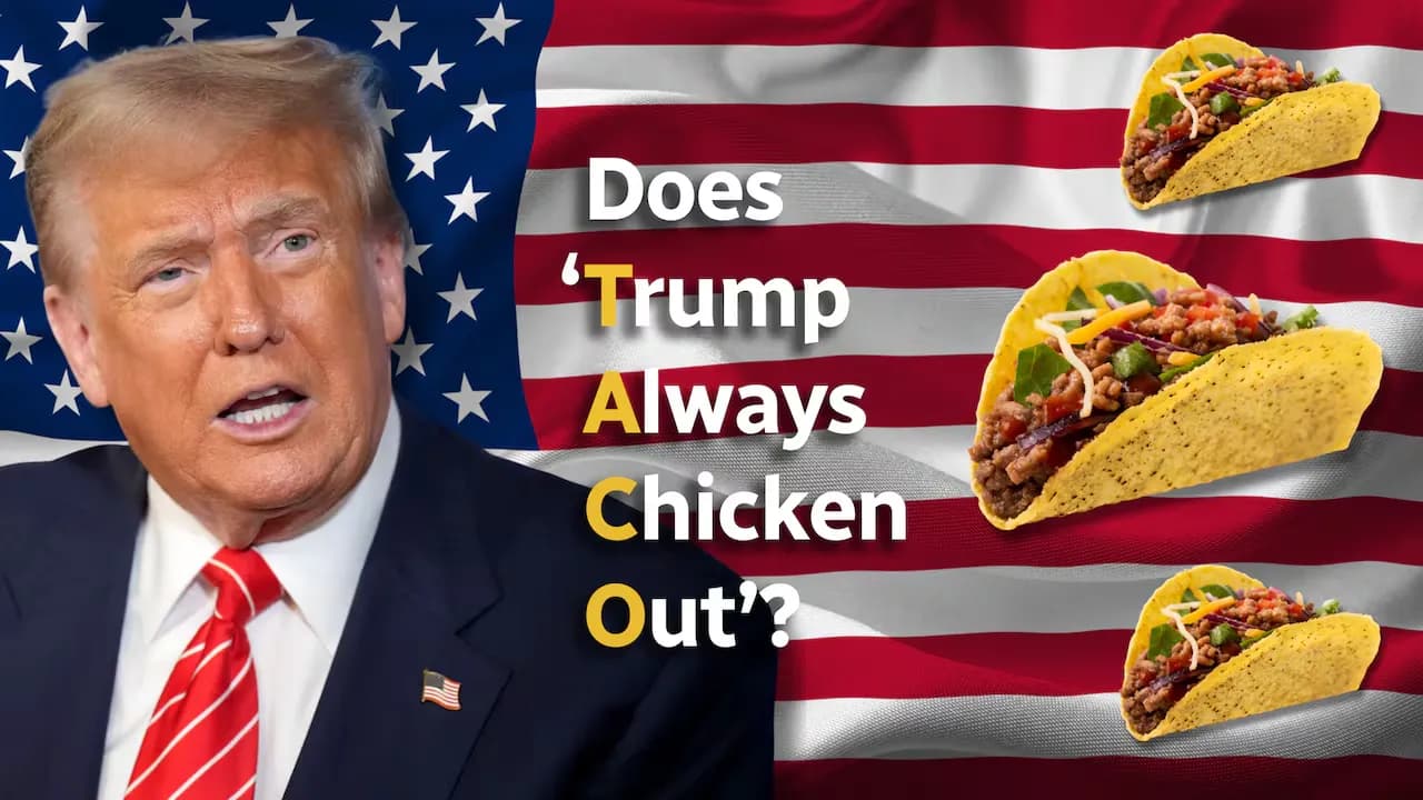 taco