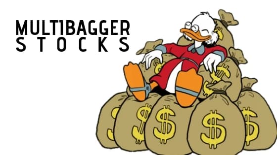 Apa Itu Multibagger dan Bagger